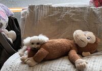 IMG_20221027_132136_479