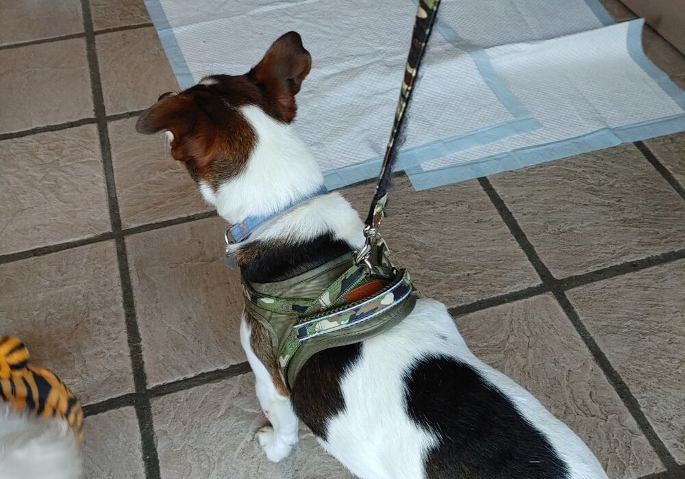 49E71A3C-F6CD-442C-AB1C-5911956ADA58