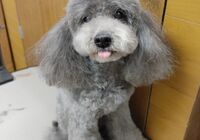 DCEF3BEA-457F-447D-8E43-3244A004E882